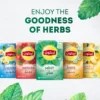 b147dac7-b9b5-4f42-94ba-9f76e97291fa_size3840_cropCenter Lipton Mint Herbal Infusion Tea 20 Teabags