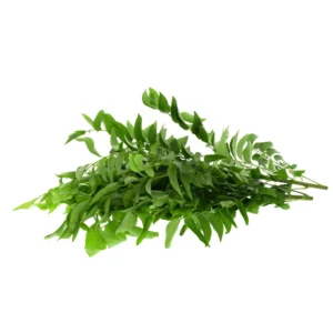 092dca44-db64-45dd-9021-a3e98f292624_size3840_cropCenter Curry Leaves Sri Lanka 75 g