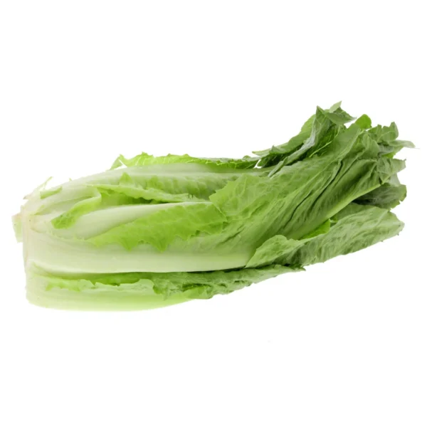 2f283163-9399-48a4-9ab5-3dfa95fc097f_size3840_cropCenter Lettuce Romaine 400 g