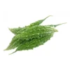 3261593c-1ffd-43db-8989-0ccafe27f3da_size3840_cropCenter Bitter Gourd Green 500 g