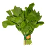 Premium Palak Leaves 1 Bunch