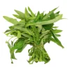 5806b58a-20a3-4233-a87f-96f75a80068d_size3840_cropCenter Kangkong Leaves 1 Bunch