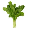 5d688996-ae6e-43b5-8ce5-ef7e16ae322c_size3840_cropCenter Selek Leaves 1 Bunch