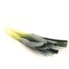 7382a20f-fb7d-4018-91fb-e04b9fb36ab1_size3840_cropCenter Leeks Holland 1 pc