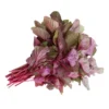 Cheera Red 1 Bunch