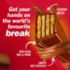 89bb1a71-5e5f-4da0-9773-b23b8d930251_size1920_cropCenter Nestle KitKat Chunky Chocolate Wafer 40 g