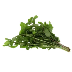 921f4b6f-ed07-4f5c-9d58-2d99126ce715_size3840_cropCenter Mint Leaves 1 Bunch