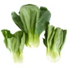 Baby Pakchoi 1 pkt