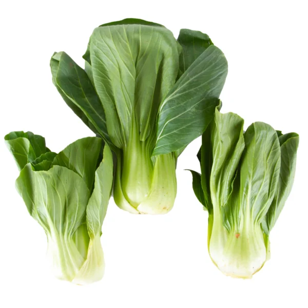 Baby Pakchoi 1 pkt
