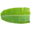 ac0e8b94-a94f-4c73-b2ee-424d3815bab5_size3840_cropCenter Banana Leaf India 1 pc