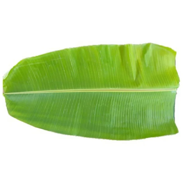 ac0e8b94-a94f-4c73-b2ee-424d3815bab5_size3840_cropCenter Banana Leaf India 1 pc