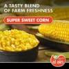 b118ee96-69bd-46bb-99ef-7e5a19bbe1d1_size3840_cropCenter Al Ain Sweet Corn 1 kg