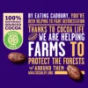 Cadbury Dairy Milk Fruit & Nut Chocolate Bar Value Pack 2 x 212 g