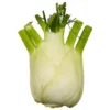 Fennel Holland 500 g