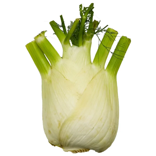 Fennel Holland 500 g