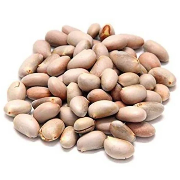 Jackfruit Seed India 500 g