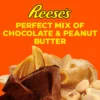 e9a8804b-77ca-407f-a203-d8d12a9f4d37_size1920_cropCenter Reese's Nut Bar Milk Chocolate Bar 47 g