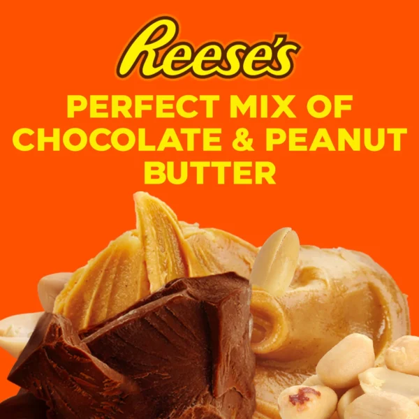 e9a8804b-77ca-407f-a203-d8d12a9f4d37_size1920_cropCenter Reese's Nut Bar Milk Chocolate Bar 47 g