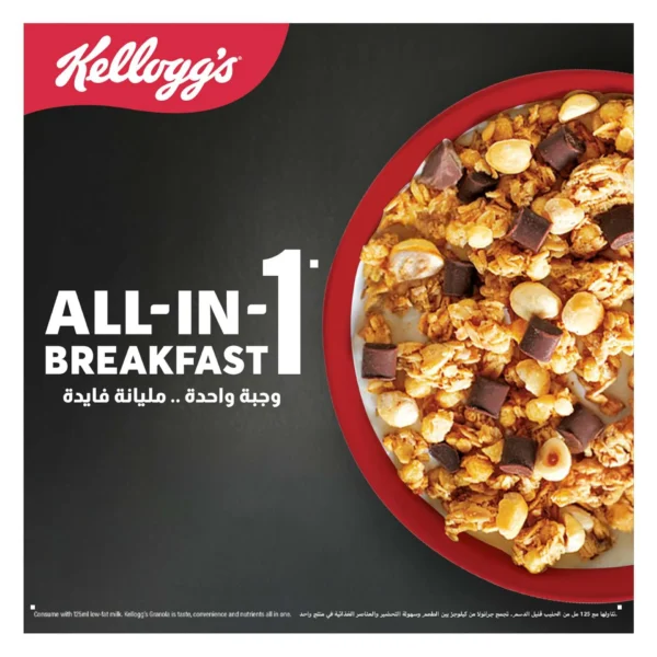 e9f281a6-f8f8-4039-aaa3-375c3935e72d_size1920_cropCenter Kellogg's Granola Chocolate With Hazelnuts 600 g