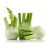 Fennel Holland 500 g