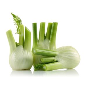 fennel_250g Fennel Holland 500 g