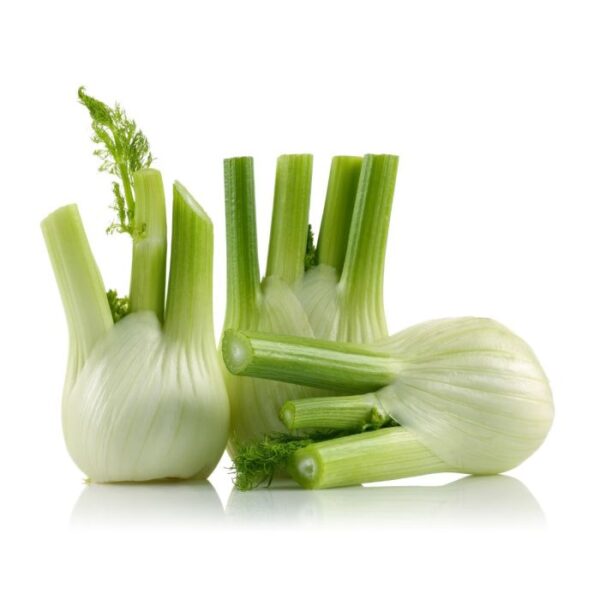 Fennel Holland 500 g