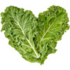 kale leaf Green Curly Kale Leaves 200 g