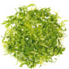 lettuce-romaine-shredded-freshleaf-dubai-uae-img01 Lettuce Romaine Shredded 250 g