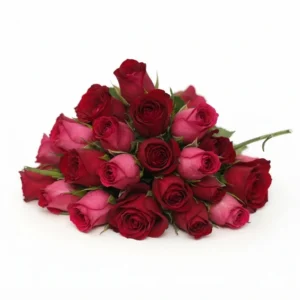 Fresh Red Rose Buds 250 g