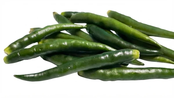 Green Chilli India / washed 100 g