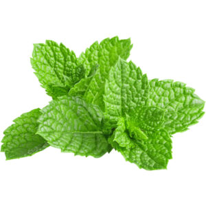 Mint Leaves Sorted / washed 50 g
