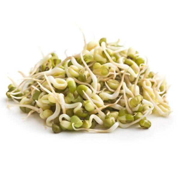 Moong Bean Sprouts 300 g